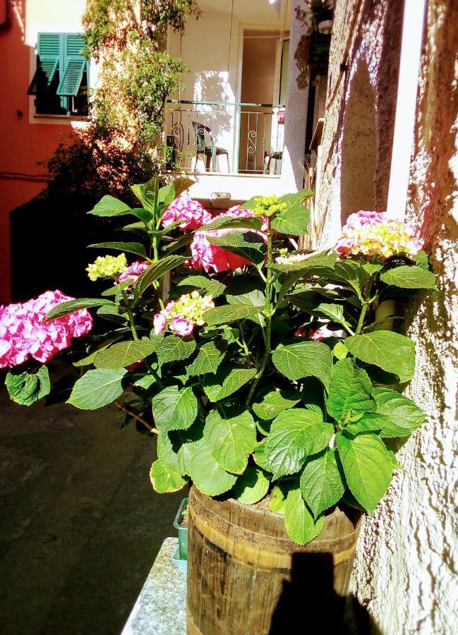Casa La Quiete Lägenhet Orco Feglino Exteriör bild